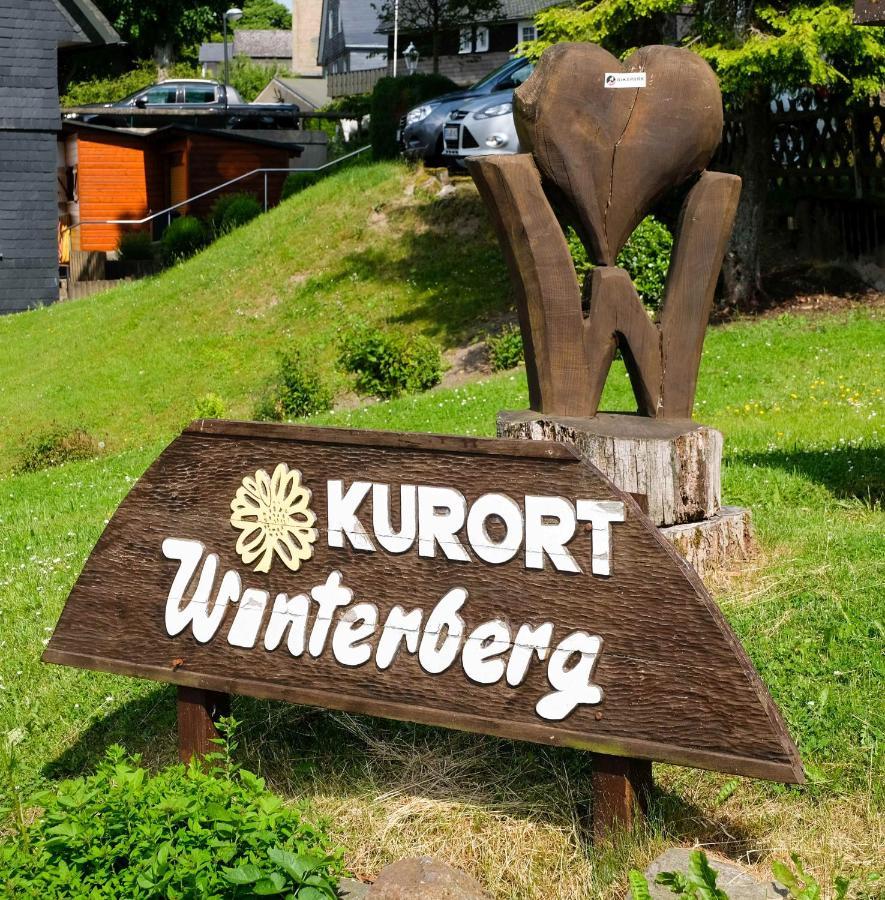Staycozy Bike&Ski Apartments, Barrierefrei, Free Wifi, Erdgeschoss Winterberg Buitenkant foto